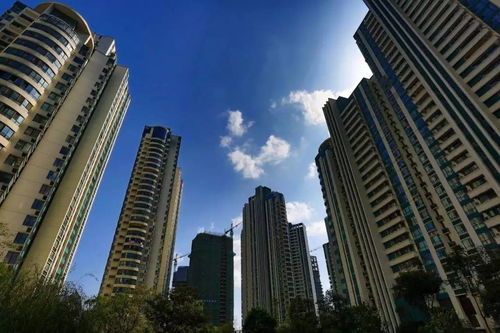 重慶有房一族 安居與增值的平衡，樓市起伏中的真實心態